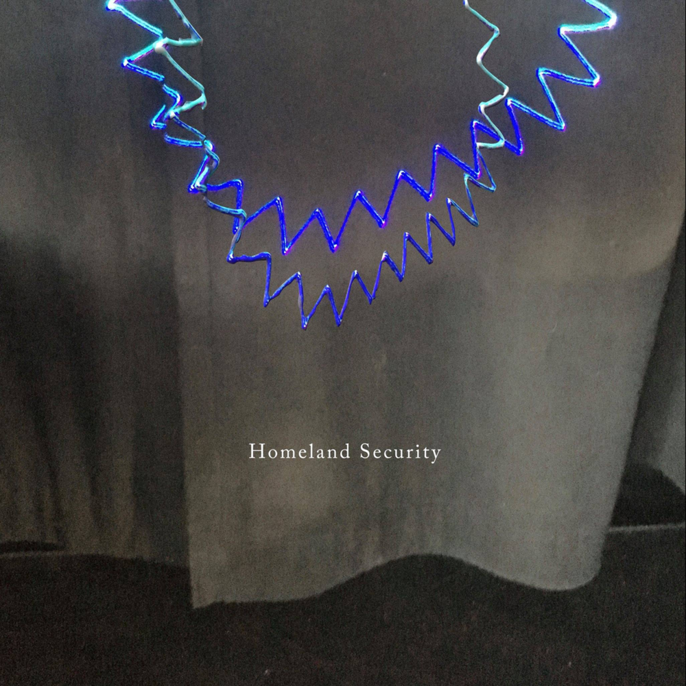 Homeland Security