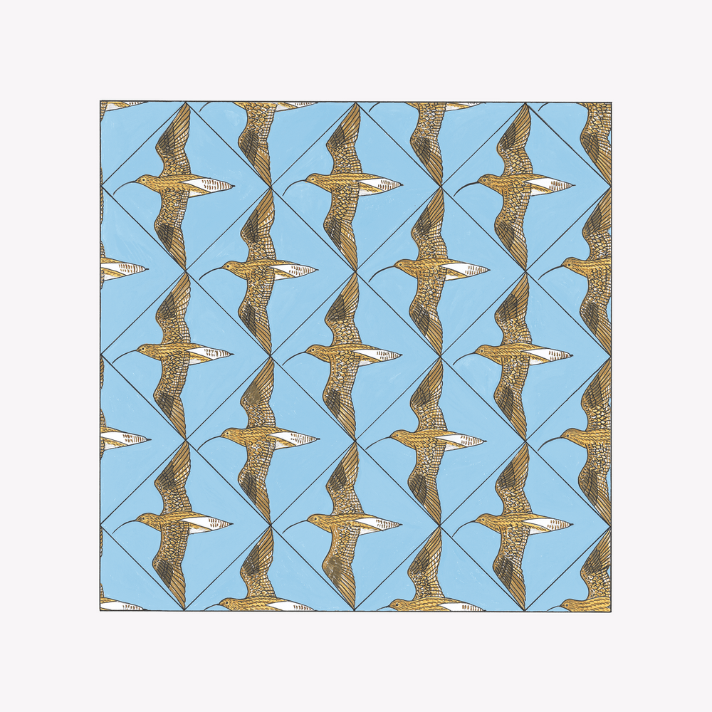 Simmerdim: Curlew Sounds