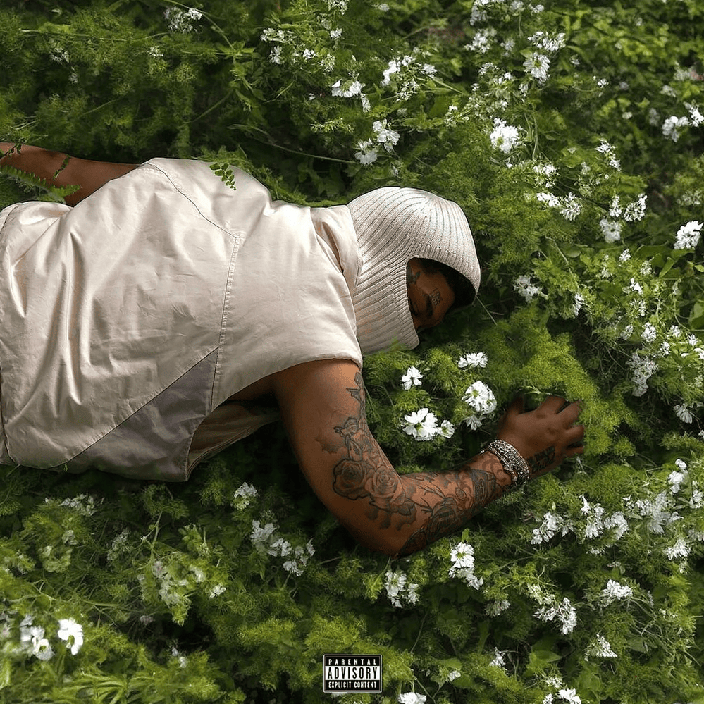 Before I Disappear Again (Deluxe)