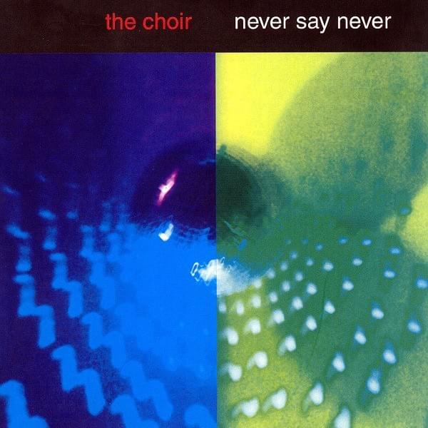 Never Say Never: The First 20 Years