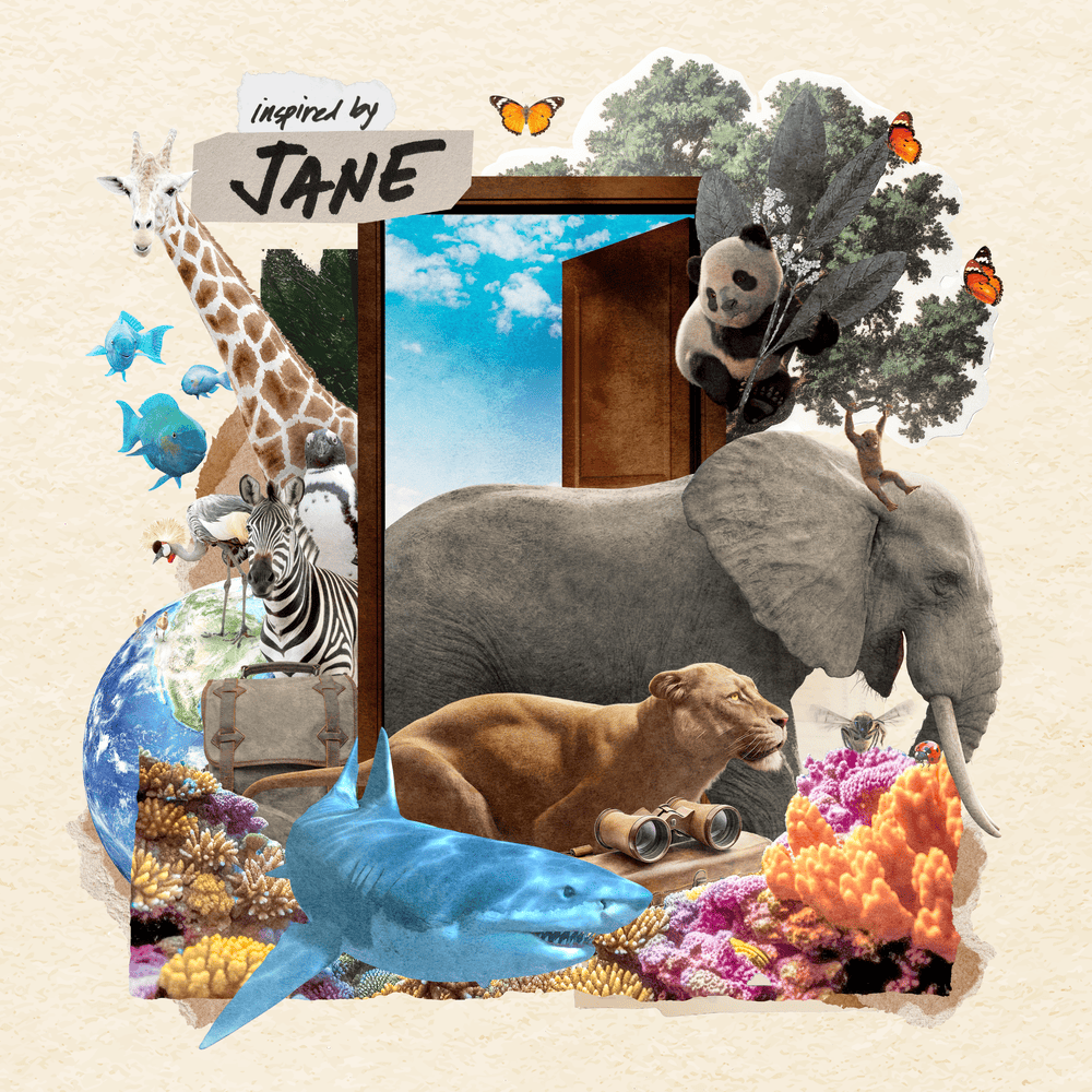 Inspired By Jane