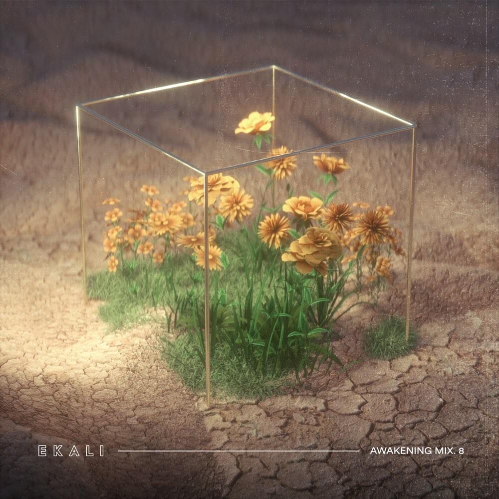 Lose Control (Ekali Edit)