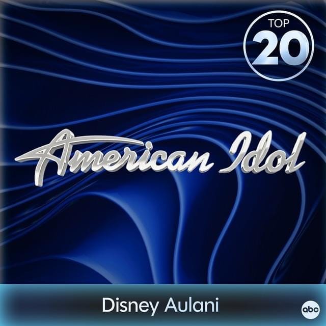 American Idol: Season 24 (Top 20)
