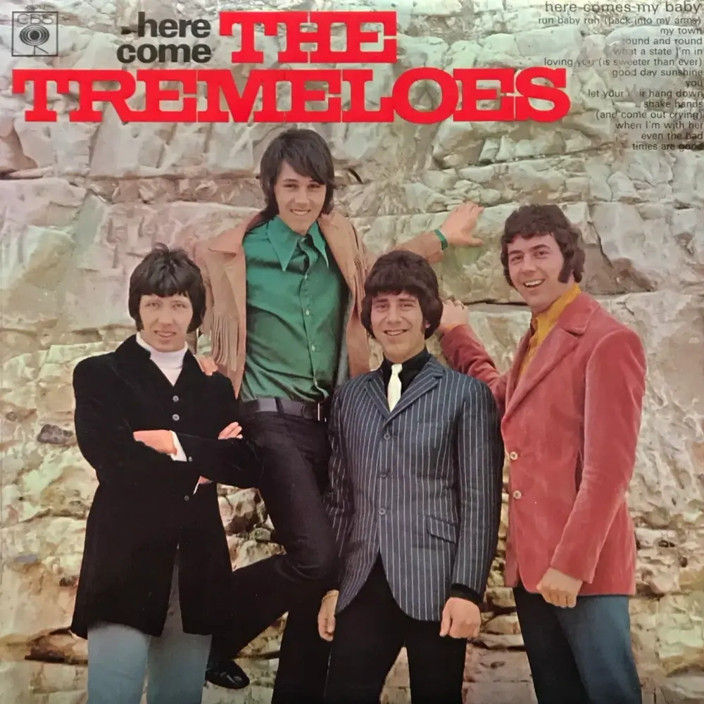 Here Come the Tremeloes