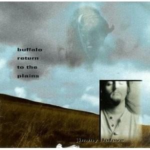 Buffalo Return to the Plains