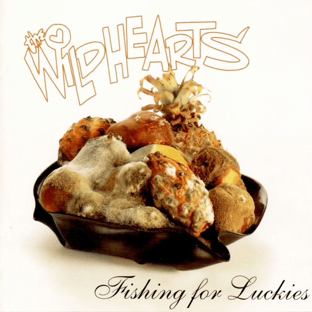 Fishing for Luckies (Extended Version) 