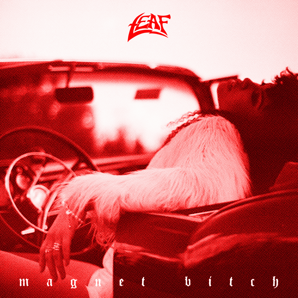Magnet Bitch - Single