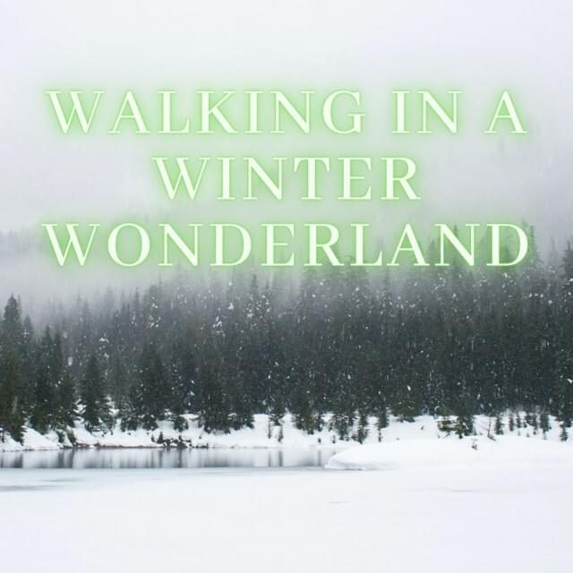 Walking in a Winter Wonderland