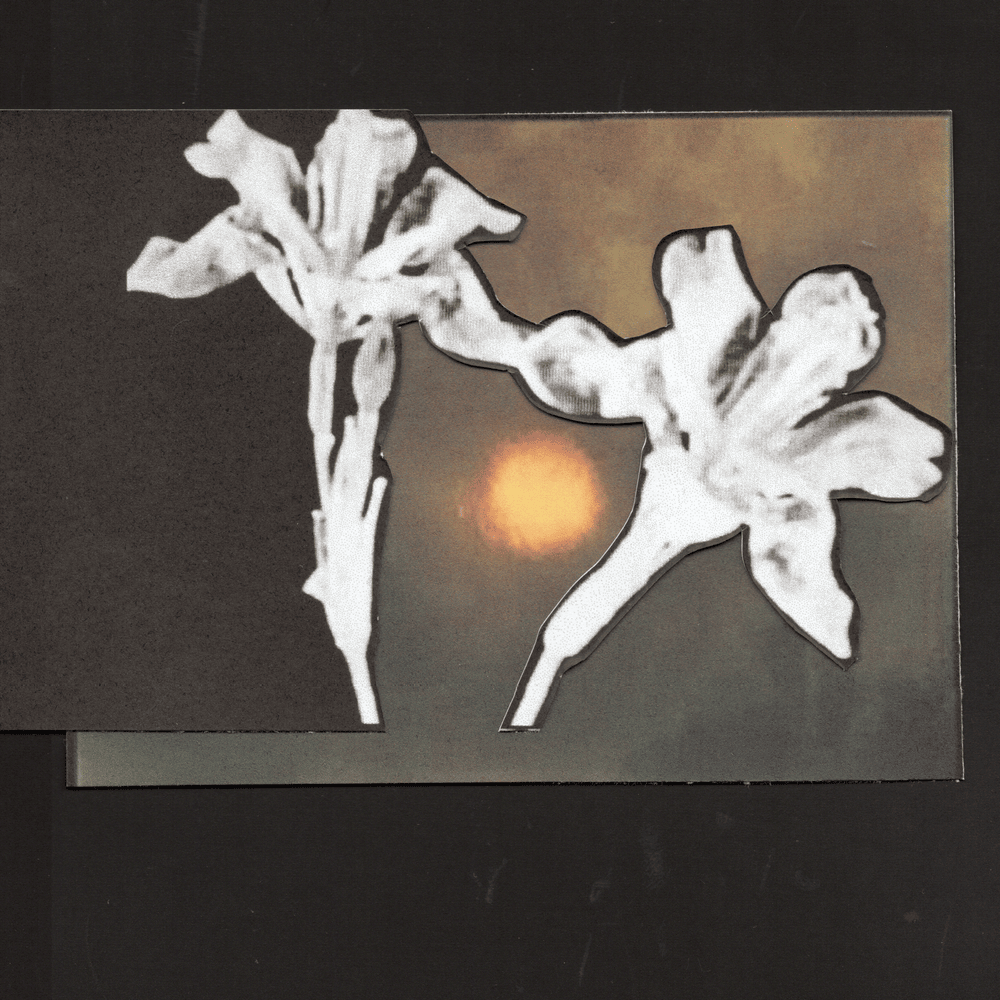 Loving You / Don’t Let Me Go