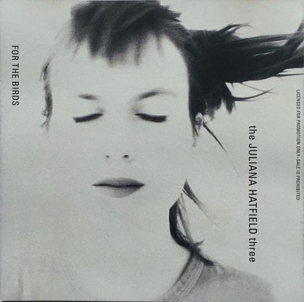 For The Birds - Single