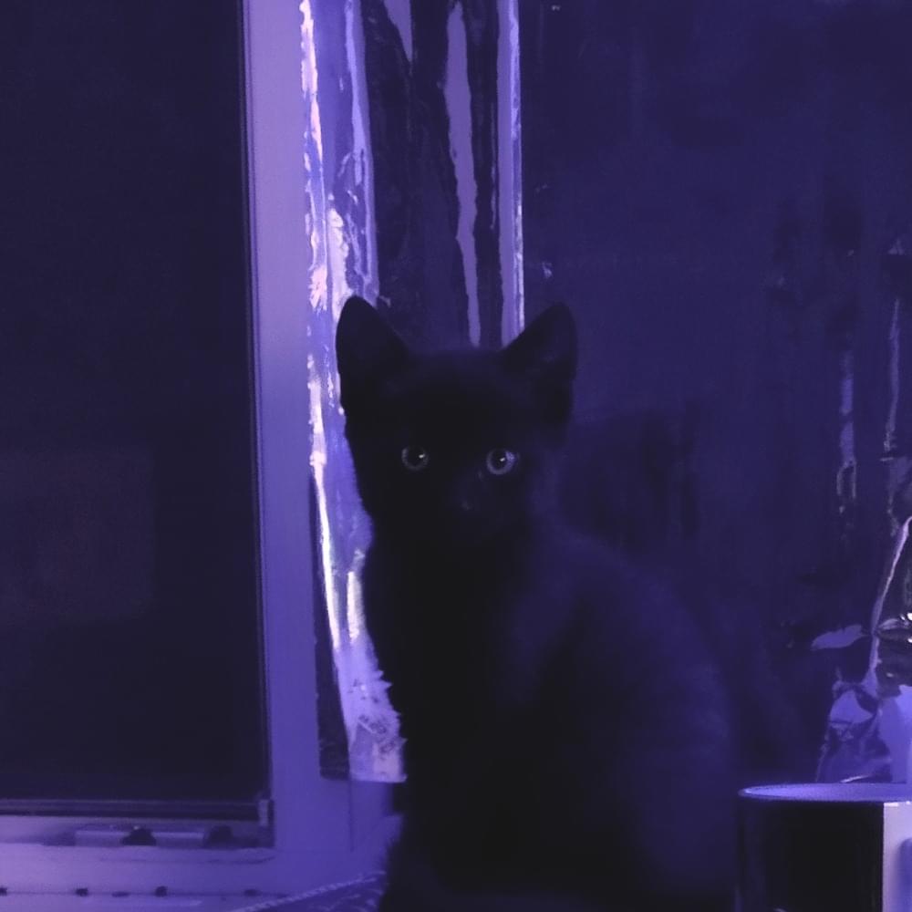 Детские травмы (Сhildhood trauma)