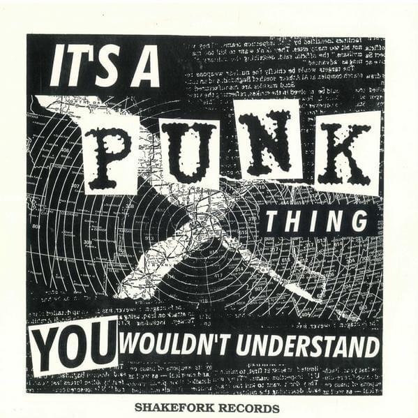 It’s A Punk Thing, You Wouldn’t Understand