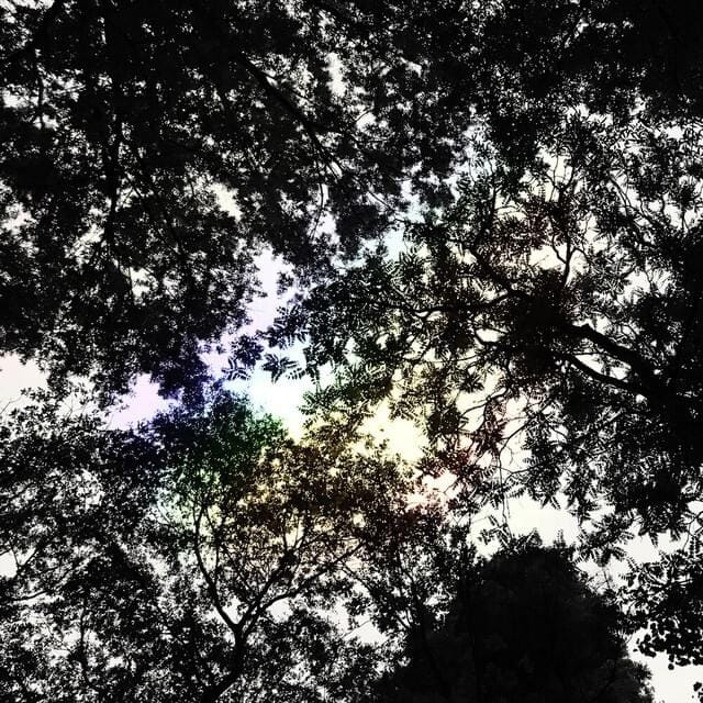 light leaks