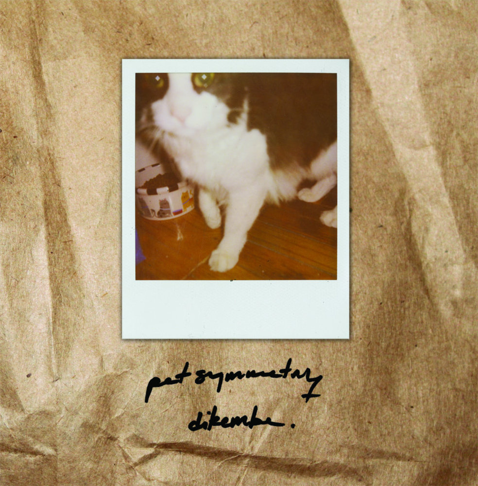 Pet Symmetry / Dikembe Split