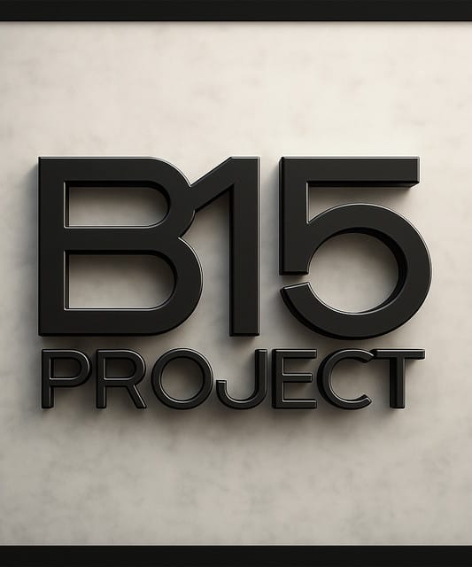 B15 Project