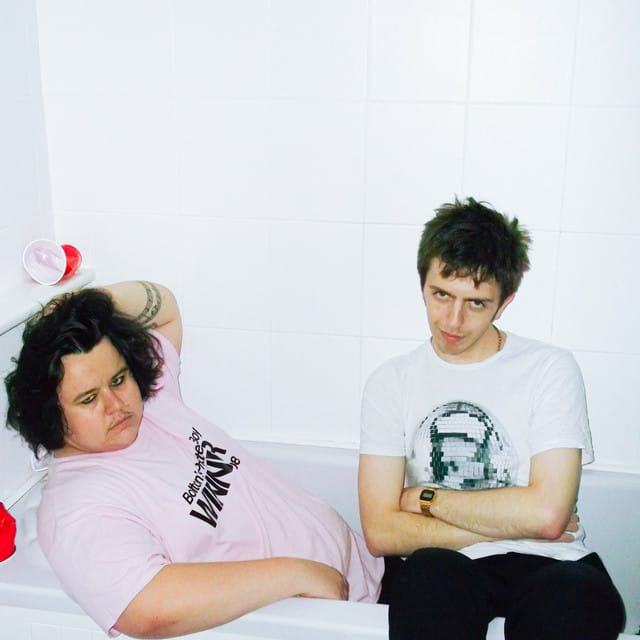 vincent's last summer