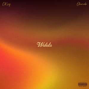 Wahala (feat. Olamide) - Single