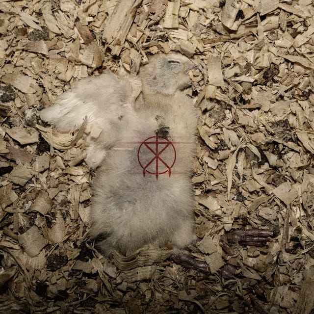 Deadskin Skimask