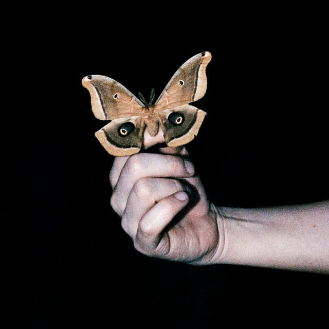 All Systems Are Lying / Run Free (Nite Versions) - Single