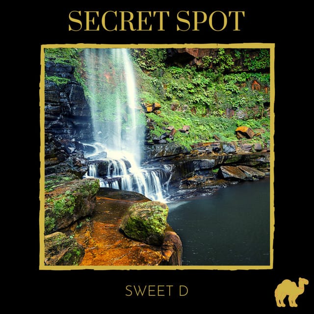 Secret Spot - Single