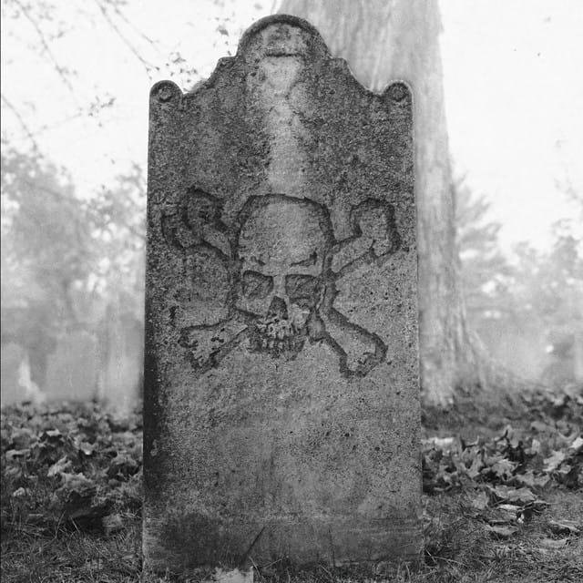 You’re Gonna Have to Kill Me