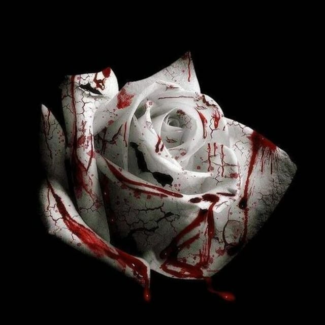 Romantic Homicide - Single