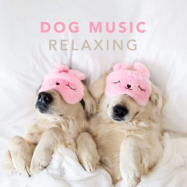 Dog Music - Relaxing Music for Dogs and Puppies