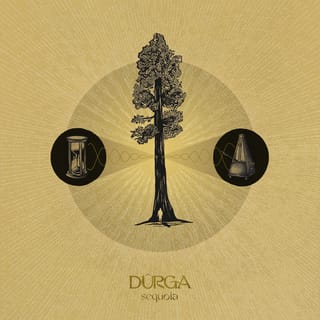 Sequoia