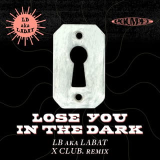 LOSE YOU IN THE DARK