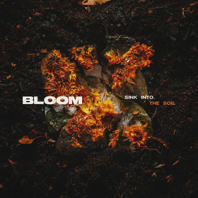 Sink Into the Soil