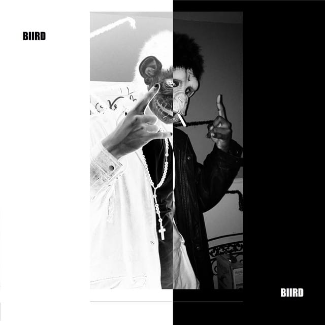 Biird's Adult Swim