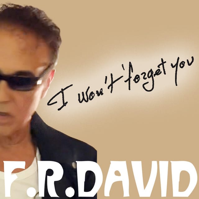 I Won't Forget You