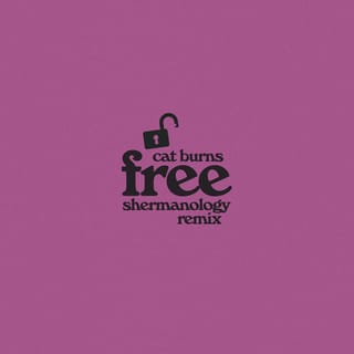 Free (Shermanology Remix) - Single