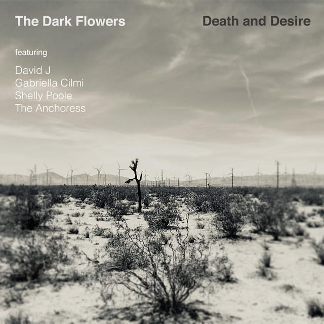 Dead And Lovely