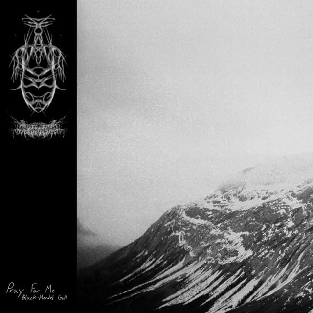 Pray For Me - Single