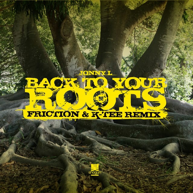 Back to Your Roots (Friction & K-Tee remix)