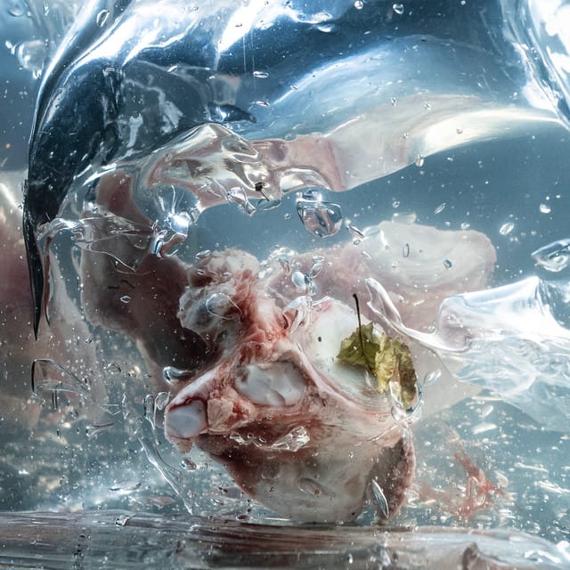 Liquid Bones