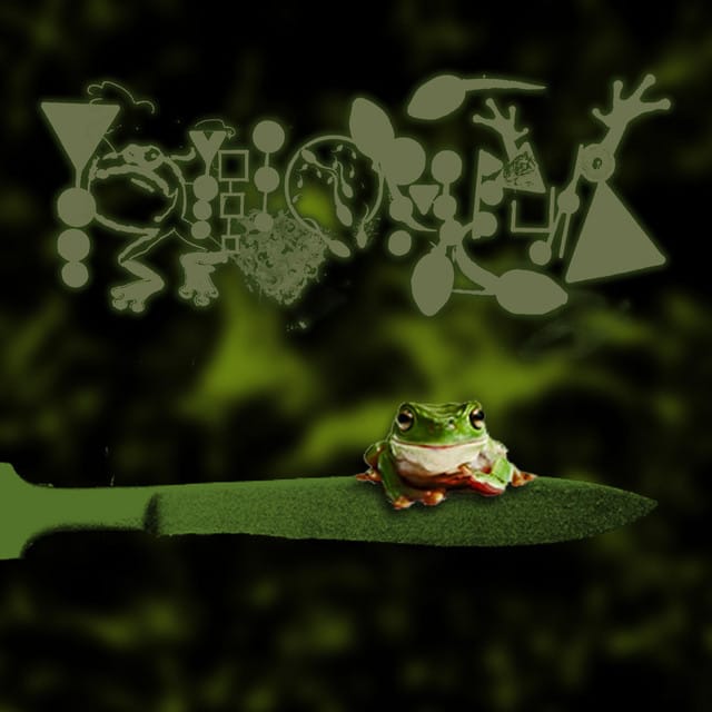 Amphibians Performing Surgery III: Murrexic Behaviour