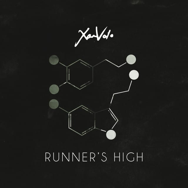 Runner's High