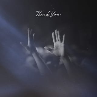 Thank You (Live)