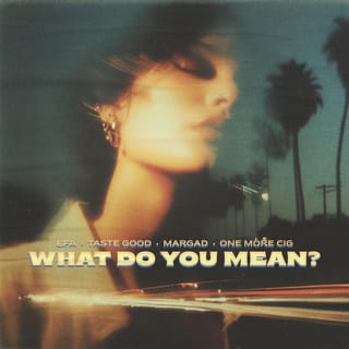 What Do You Mean?