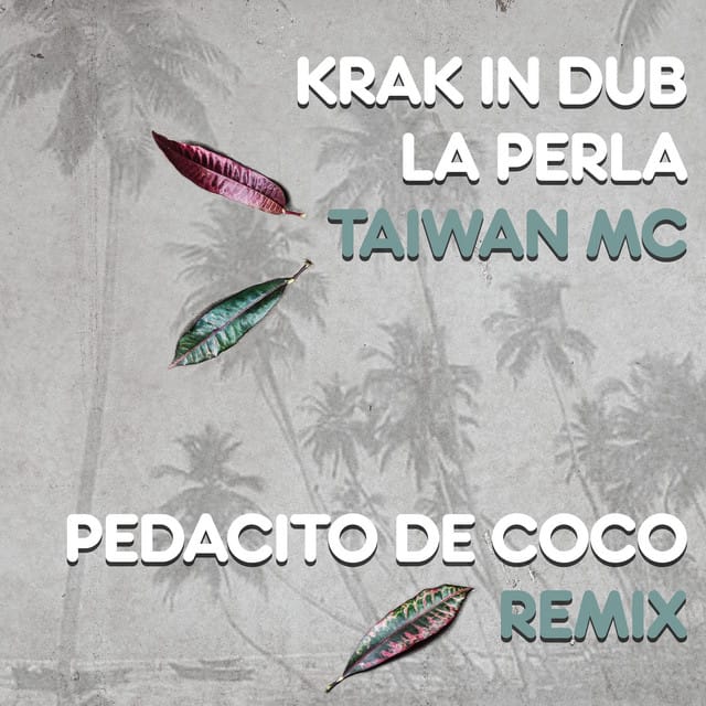 Pedacito De Coco Remix