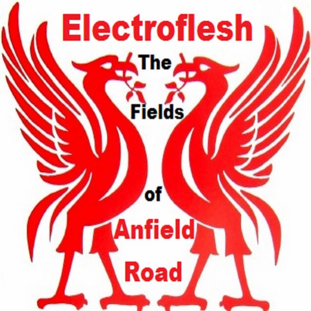The Fields of Anfield Road - Single