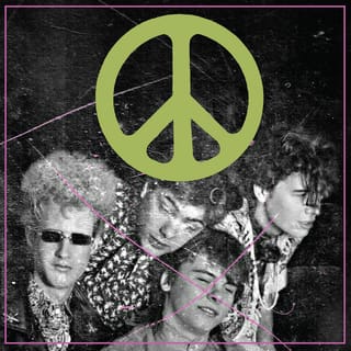 Scratching the Door: The First Recordings of the Flaming Lips (2018 Remaster)