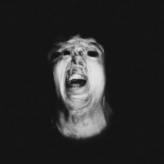 DNB - Single
