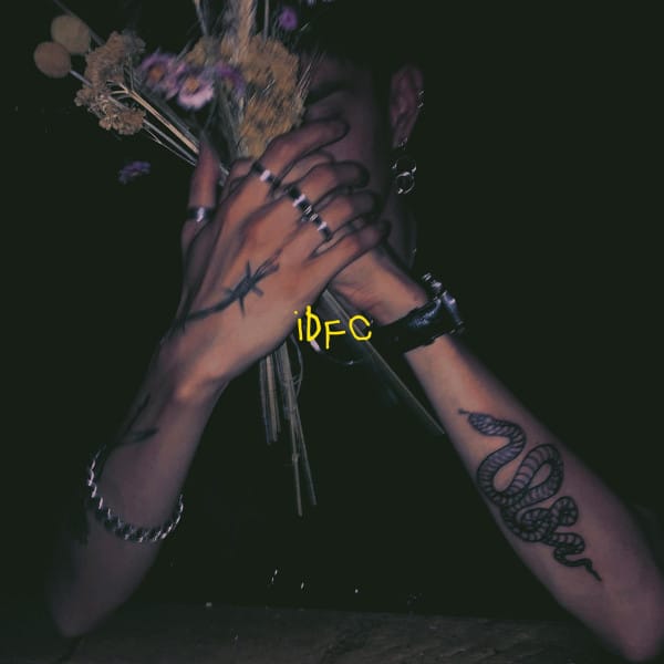 idfc (Acoustic Remake; Slowed)