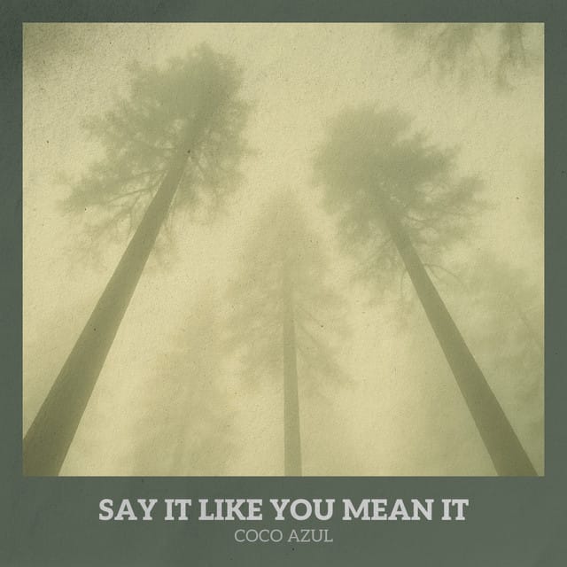 Say It Like You Mean It - Single