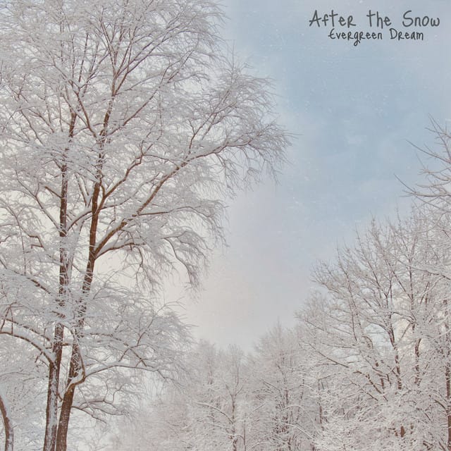 After the Snow - Single