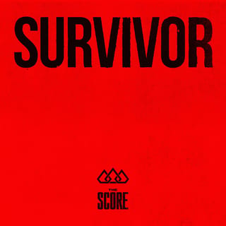 Survivor