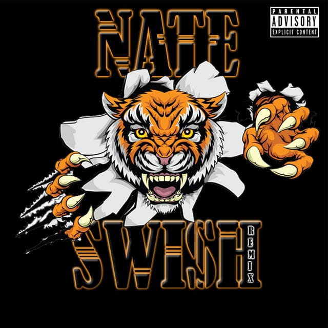 Swish (Remix) - Single